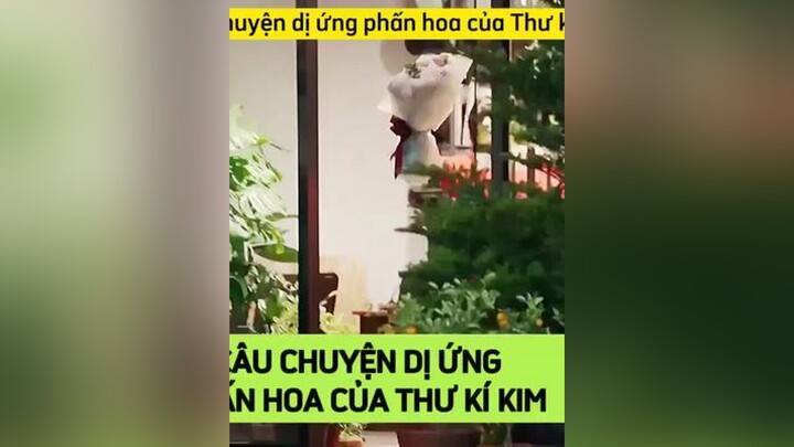 Câu chuyện dị ứng phấn hoa của Thư ký Kim và cái kết ảo tưởng của Phó chủ tịchDanet BHDGTHQ WhatsWr