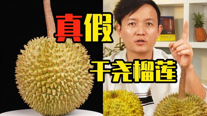 [Petualang Buah Hunter x Hunter] Durian Ganyao: Bedakan yang Asli dan Palsu dalam Sekejap!