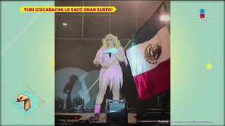 Yuri da el grito pero por culpa de una CUCARACHA | De Primera Mano