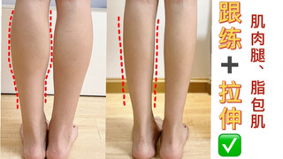 นี่คือท่าออกกำลังกายลดน่องให้เล็กลง 6.5 ซม.! ยืดด้วยแถบ! น่องที่แข็งแรงกลับมาแล้ว!