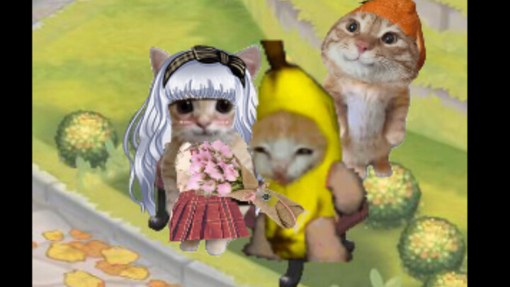 Tình yêu của mèo chuối