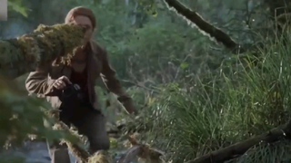 Công viên kỷ jura 2 p4