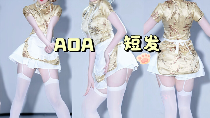 【短发-小厨娘版】旗袍勾白色猫爪吊带袜 你小汁有福啦～