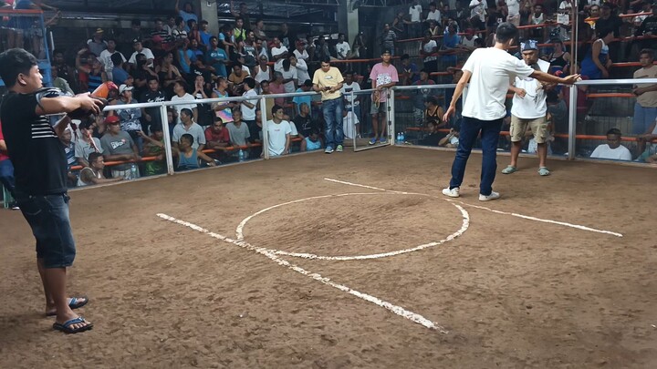 RENA 3COCKS DERBY FEB.7 2026 3rd Fight WIN!