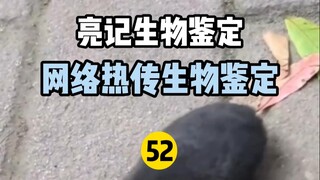 【การระบุทางชีวภาพของ Liangji】การระบุทางชีวภาพแบบฮอตอินเทอร์เน็ต 52