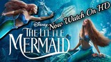 The Little Mermaid 2023 ❤ Love Scenes Status ❤ Full Movie Watch Online Free HD