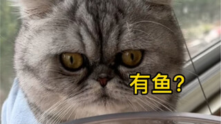 去给妈耶钓鱼