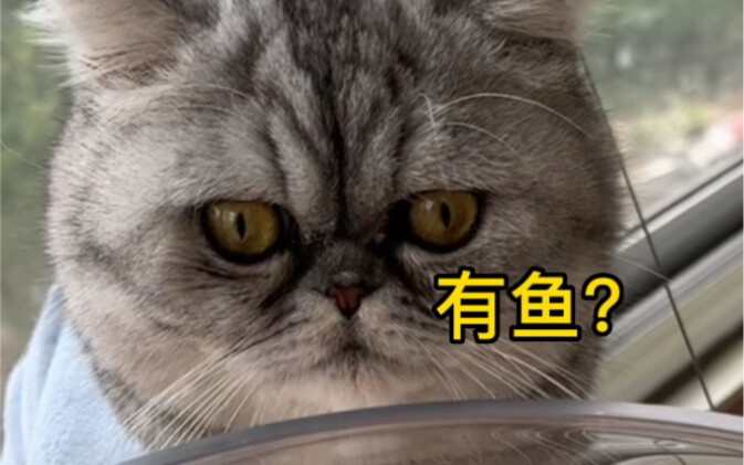 去给妈耶钓鱼