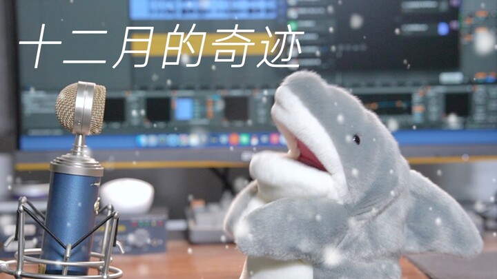 “Kembali ke musim putih itu” versi cover oleh Shark untuk “Keajaiban Bulan Desember”
