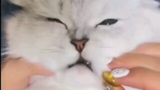 Selalu ada orang jahat yang ingin membunuhku