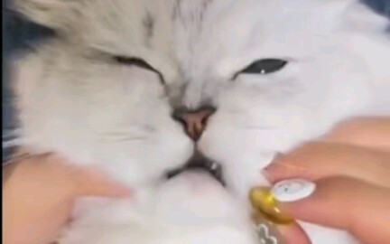 มักมีคนชั่วคิดจะลอบทำร้ายข้า