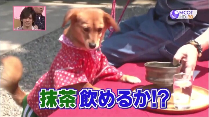 Shimura Zoo สวนสัตว์มหาสนุก #8