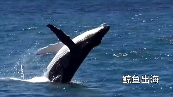 Sudah mengumpulkan begitu banyak momen beruntung, tentu saja harus dibagikan kepada orang terpenting