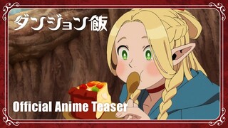 TVアニメ『ダンジョン飯』ティザーPV