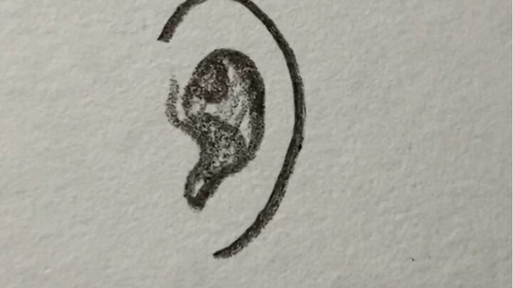 23 วินาทีเรียนรู้การวาดหูให้มีโครงสร้าง