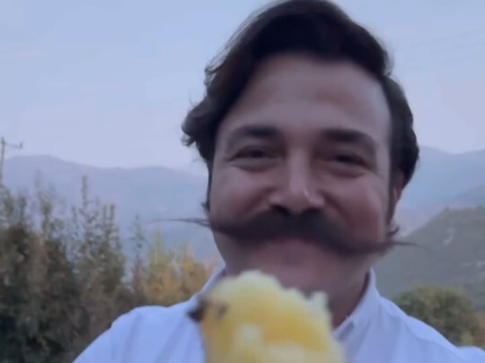 Van der Linde Potato