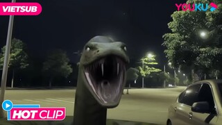 [CỐT TRUYỆN] Trận Đấu Sinh Tử Với Mãng Xà | Mãng Xà Tấn Công | Phim Lẻ YOUKU