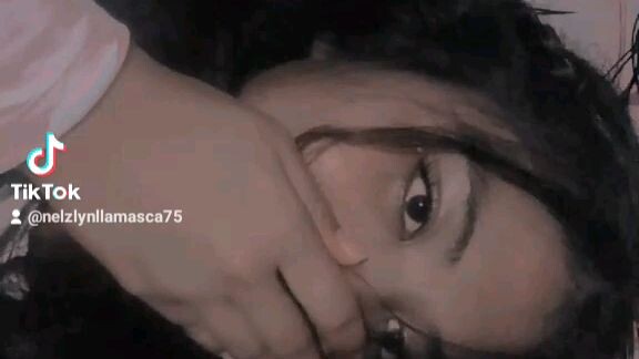 nelzlyn llamas castellano TikTok video music......