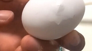 白激动了