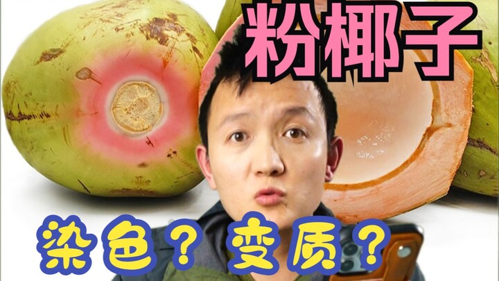 [Petualang Buah Hunter x Hunter] Mengungkap Misteri Kelapa Merah Muda yang Viral di Internet