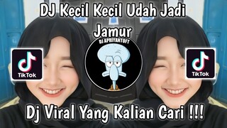 DJ KECIL KECIL UDAH JADI JAMUR JANDA JANDA DIBAWAH UMUR | DJ JAMUR VIRAL TIK TOK TERBARU 2023 !