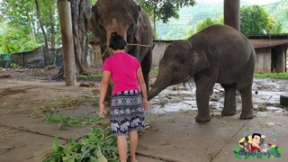 มาเที่ยวหาน้องบุญศรีกับแม่ใหม่