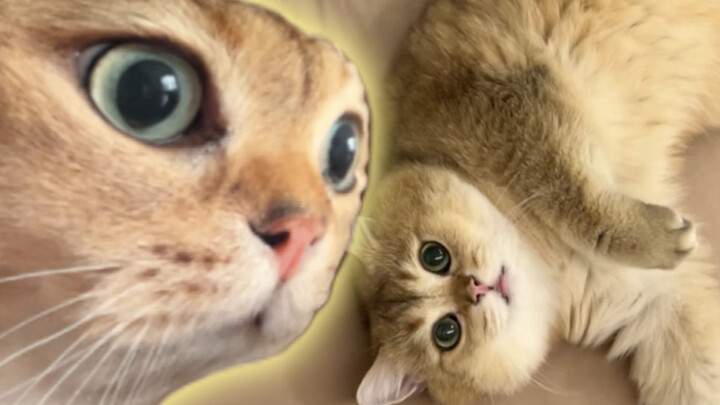 Đã đặt làm riêng cho con một chiếc gối ôm cực ngầu, bé rất thích!