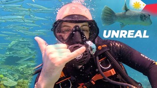 Filipino waters are paradise! I scuba dive for the 1st time in El Nido