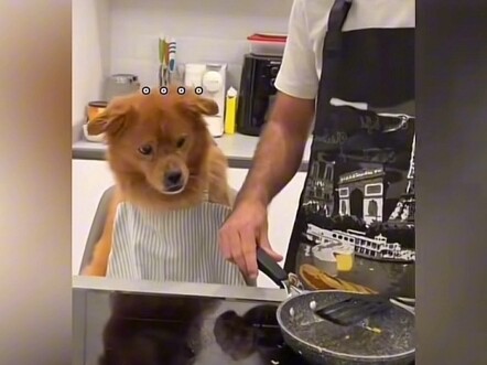 Một lần hai lần không sao, nhưng ba lần thì thôi nhé! Cậu mà còn thử thế này nữa xem? #ChóNhàMình