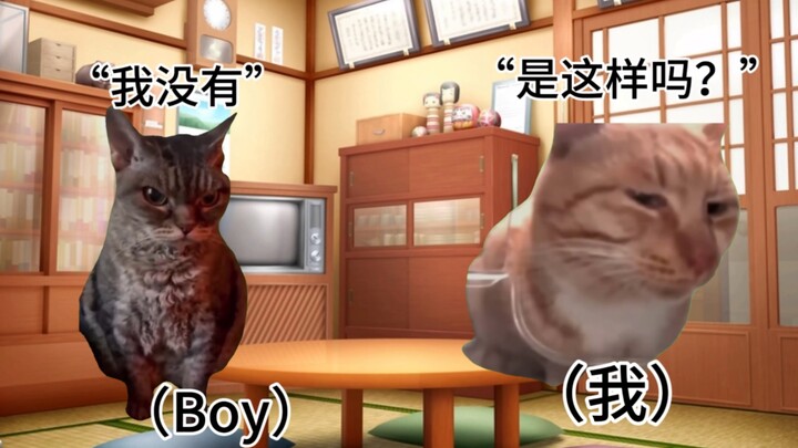 [Cat Meme] The Fortune Teller’s Battle with the Address Book: A Few Tales About the Deep-Cabinet Guy
