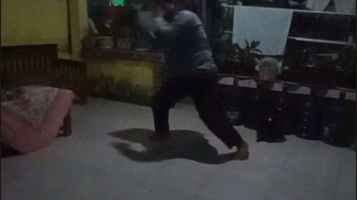 beladiri mma