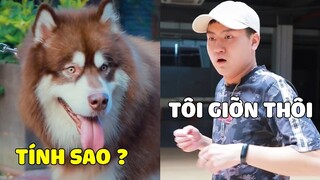 Ngáo Gia Gia | Có Con Ở Đây Rồi, Ai Dám Bắt Nạt Mẹ - Phần 4 😎 Gâu Đần Official