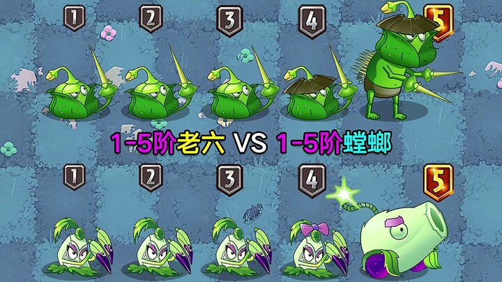 Tingkat 1-5 Lao Liu vs Tingkat 1-5 Mantid! Raja pertarungan jarak dekat beradu dengan ratu pertarung