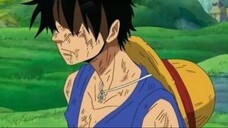 Alasan Kuma Kirim Luffy ke Amazon Lily!