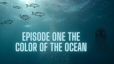 Ep one the colour of  ocean ( colour rush reaction)