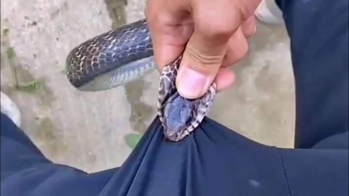 Đi câu cá ngoài trời nhất định phải chú ý an toàn!