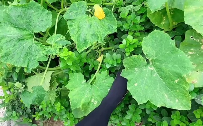 Kehidupan Sehari-hari 1.7