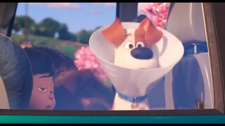 The Secret Life of Pets 2 Full movie link in description