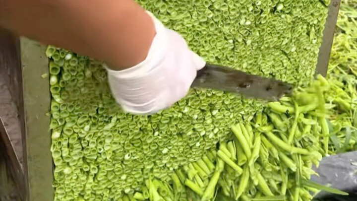 The Comforting Vegetable-Prep Process on a Speed Bump