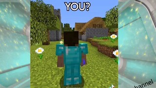 Minecraft compilation