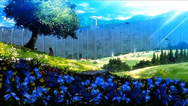 aot