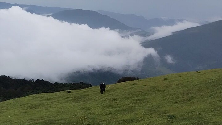 nepal🇳🇵