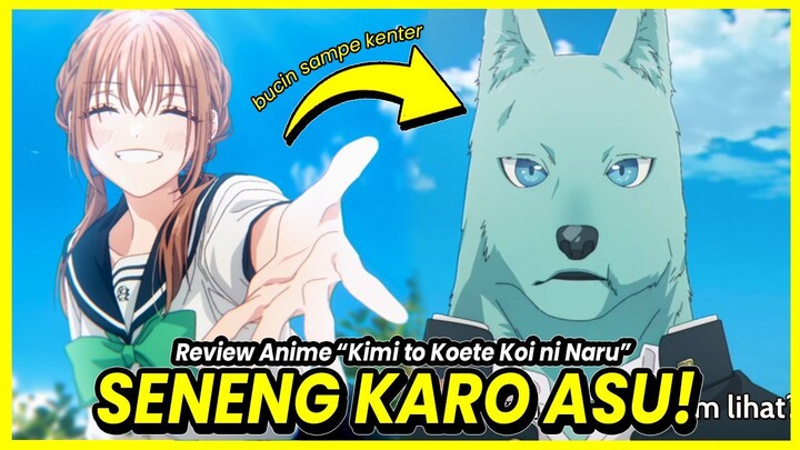Review KIMI KOETE KOI NI NARU | Review Anime