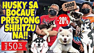 BOCAUE PET MARKET PHILIPPINES | SOBRANG MURA NG MGA PANINDANG HAYOP! vlog#474