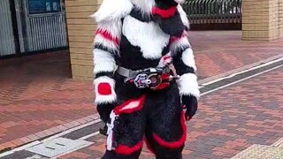 The Real Kamen Rider Geats