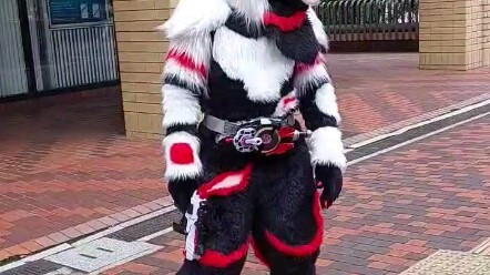 فارس القناع الحقيقي: قطب الأكول