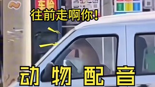 【مؤثرات صوتية للحيوانات】 هل الكلب الذي أمامنا يقود سيارة؟