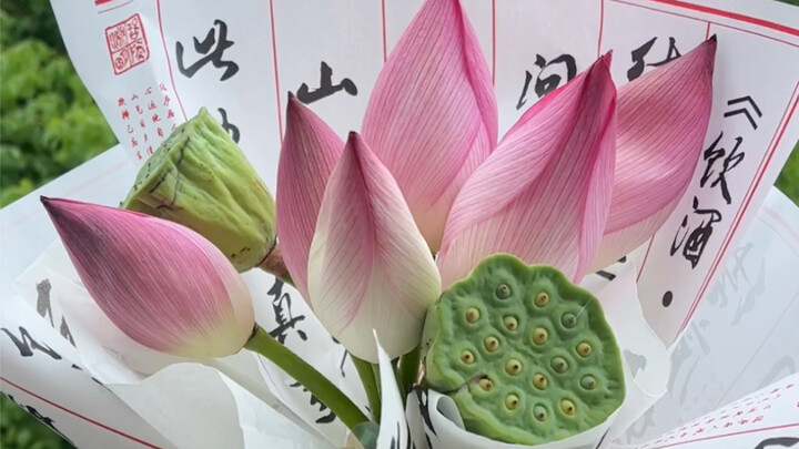 Dẫn em gái đi gặp thần tượng Vương Đậu Đậu, cảm giác thế nào nhỉ?! Mình phải chuẩn bị vài món quà ý 