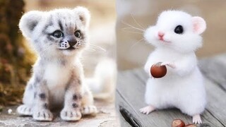 AWW SO CUTE! Cutest baby animals Videos Compilation Cute moment of the Animals - Cutest Animals #21