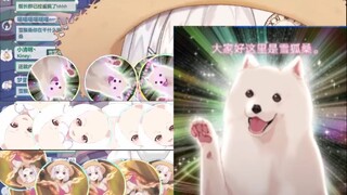 【雪狐桑】萨摩：这只萨摩真可爱 好想拿来当头像